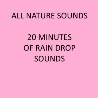 20 Minutes of Rain Drop Sounds