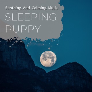 Soothing and Calming Music