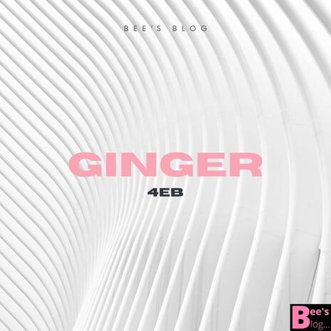 Ginger ft. Bees blog | Boomplay Music