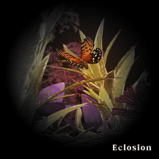 Eclosion