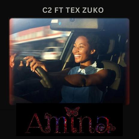 Amina ft. Tex Zuko | Boomplay Music