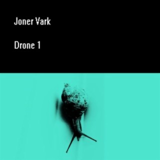 Drone 1