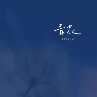 青花 (温柔版) lyrics | Boomplay Music