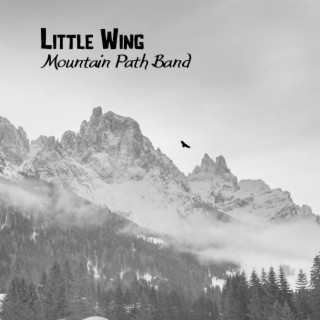 Little Wing