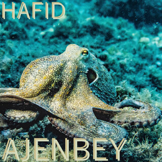 Ajenbey