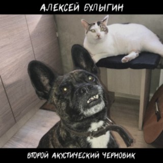 Второй акустический черновик