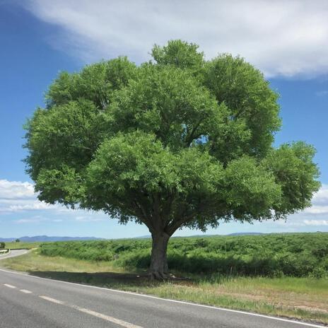 The Green Tree | Boomplay Music