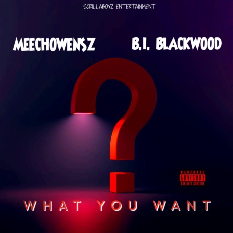 What You Want ft. Meechowensz | Boomplay Music
