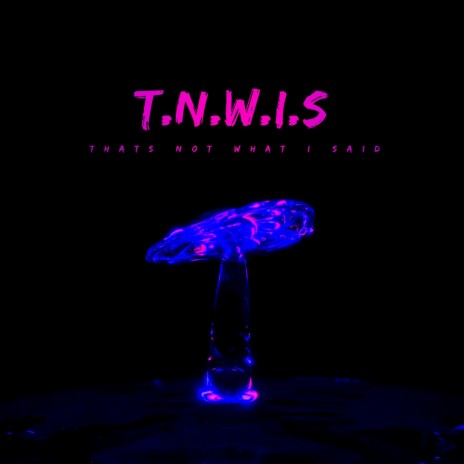 T.N.W.I.S (THATS NOT WHAT I SAID) | Boomplay Music