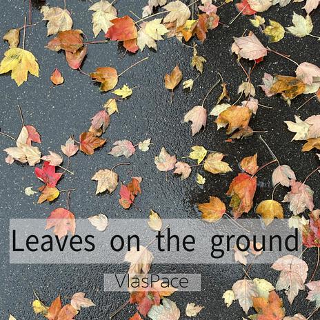 Leaves on the ground