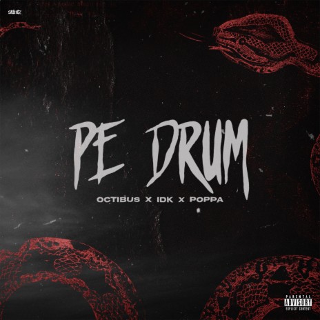 Pe Drum ft. Octibus | Boomplay Music