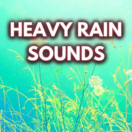 10 Hours of Heavy Steady Rain (Loopable,No Fade) ft. Heavy Rain Sounds & Heavy Rain Sounds for Sleeping