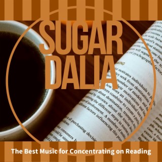 The Best Music for Concentrating on Reading