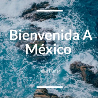 Bienvenida a México