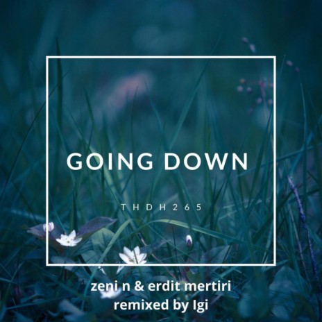 Going Down (Igi Remix) ft. Erdit Mertiri | Boomplay Music