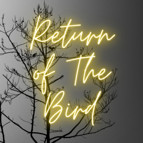 Return of The Bird | Boomplay Music