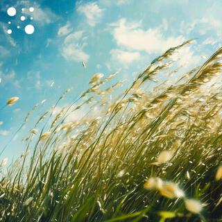 Tranquil Prairie Breeze