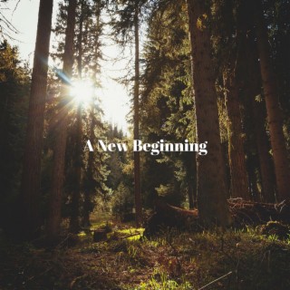 A New Beginning