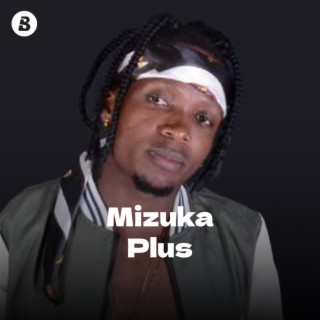Mizuka Plus
