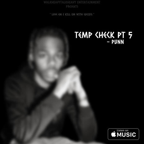 Temp Check Pt. 5 | Boomplay Music