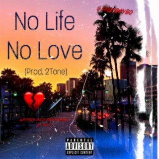 No Life No Love lyrics | Boomplay Music