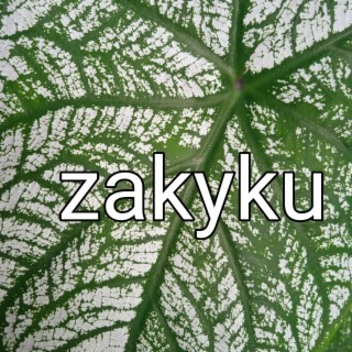 Zakyku