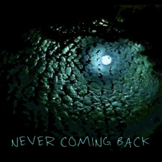 Never Coming Back lyrics | Boomplay Music