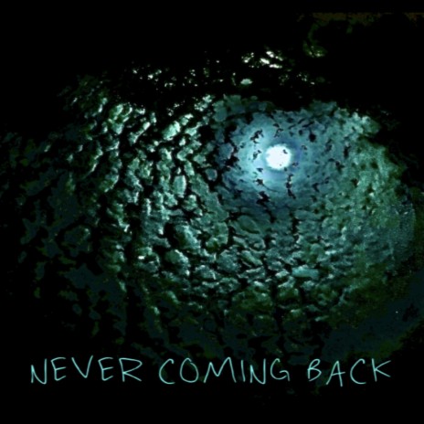 Never Coming Back | Boomplay Music