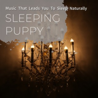 Music That Leads You to Sleep Naturally