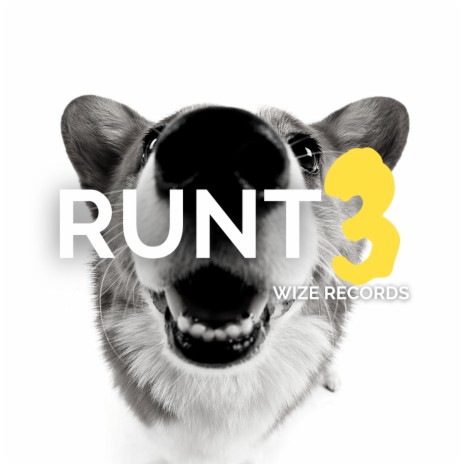 Runt 3 | Boomplay Music