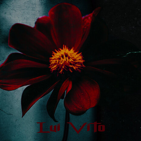 Lui Vito | Boomplay Music