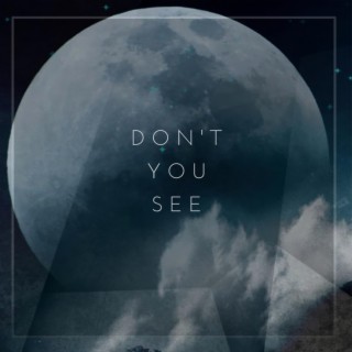Don't You See (feat. Titi Stier)