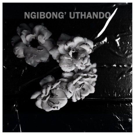 Ngibong' uthando | Boomplay Music