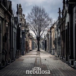 Nebulosa (Versión Cuarentena) lyrics | Boomplay Music