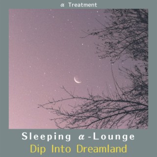 Sleeping α-Lounge - Dip Into Dreamland