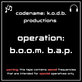 Operation: B.O.O.M. B.A.P.