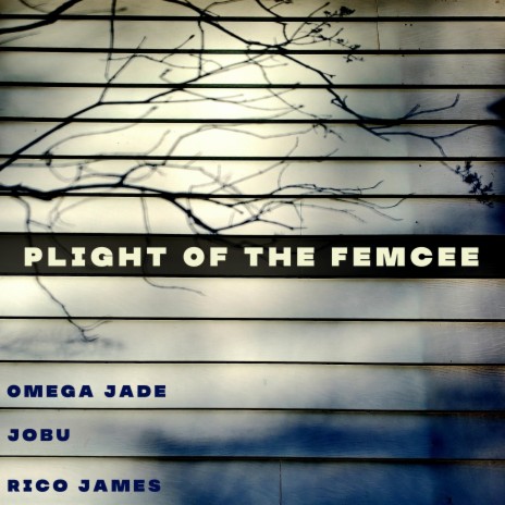 Plight Of The Femcee ft. Jobu