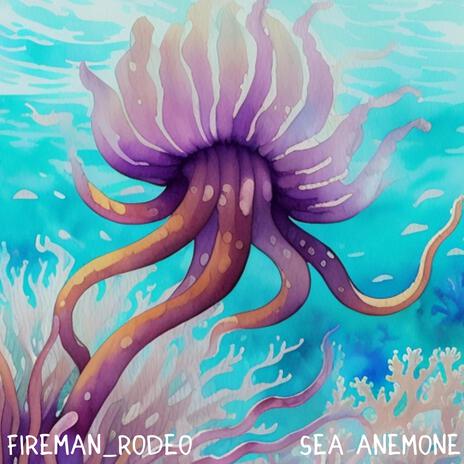 Sea Anemone