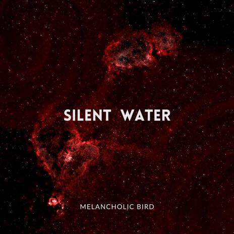 Silent Water | Boomplay Music