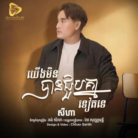 យេីងមុនបានជួបគ្នាទៀតទេ (SeyHa) | Boomplay Music