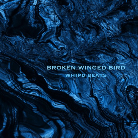 Broken Winged Bird | Boomplay Music