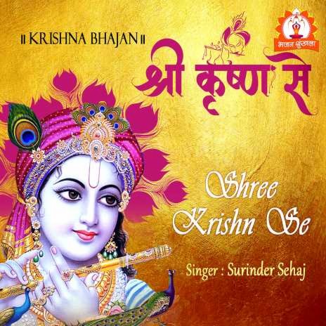 Shree Krishn Se | Boomplay Music