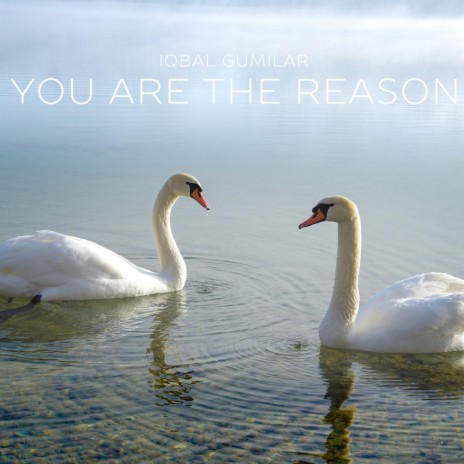 You Are the Reason | Boomplay Music