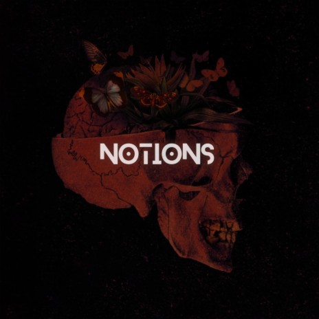 Notions | Boomplay Music
