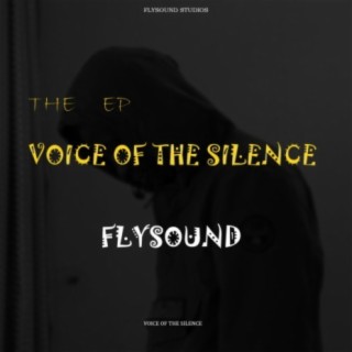 FlySound