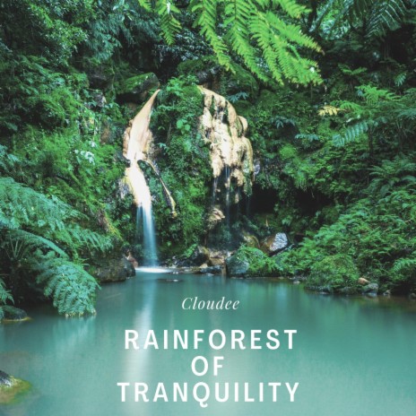 Rainforest of Tranquility | Boomplay Music