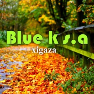 Blue k s.a