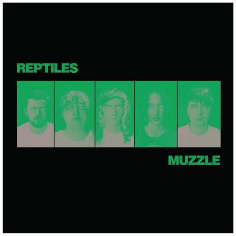 Reptiles | Boomplay Music