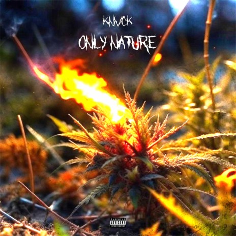 Only Nature | Boomplay Music
