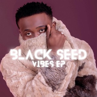 Black Seed Vibes